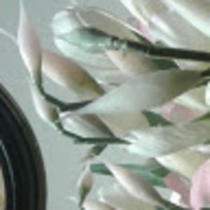 Meet your Posher, Rosette